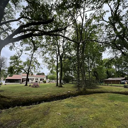 Villa Résidence 105-st Vivien De Medoc - 105 - Superbe Maison Avec Son Grand Parc Verdoyant Mae-2871 Saint-Vivien-de-Médoc
