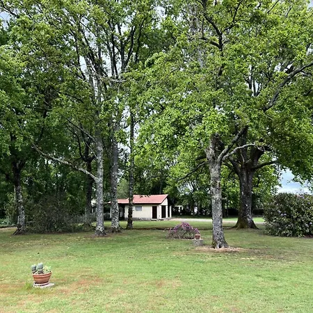 105-st Vivien De Medoc - 105 - Superbe Maison Avec Son Grand Parc Verdoyant Mae-2871 * Saint-Vivien-de-Medoc