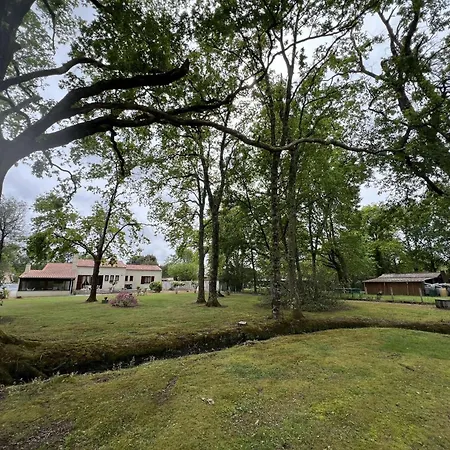 Villa Résidence 105-st Vivien De Medoc - 105 - Superbe Maison Avec Son Grand Parc Verdoyant Mae-2871 Saint-Vivien-de-Médoc