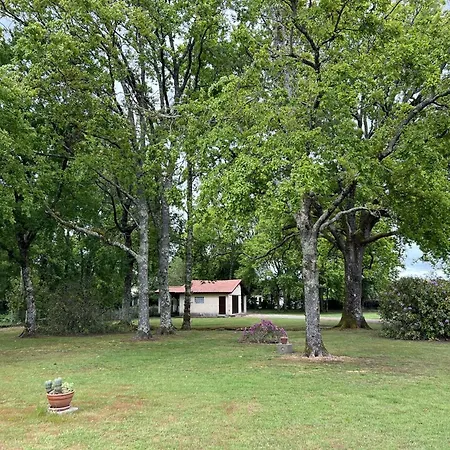 Résidence 105-st Vivien De Medoc - 105 - Superbe Maison Avec Son Grand Parc Verdoyant Mae-2871 * Saint-Vivien-de-Médoc